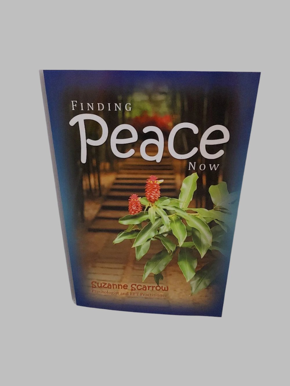 Finding Peace Now Book