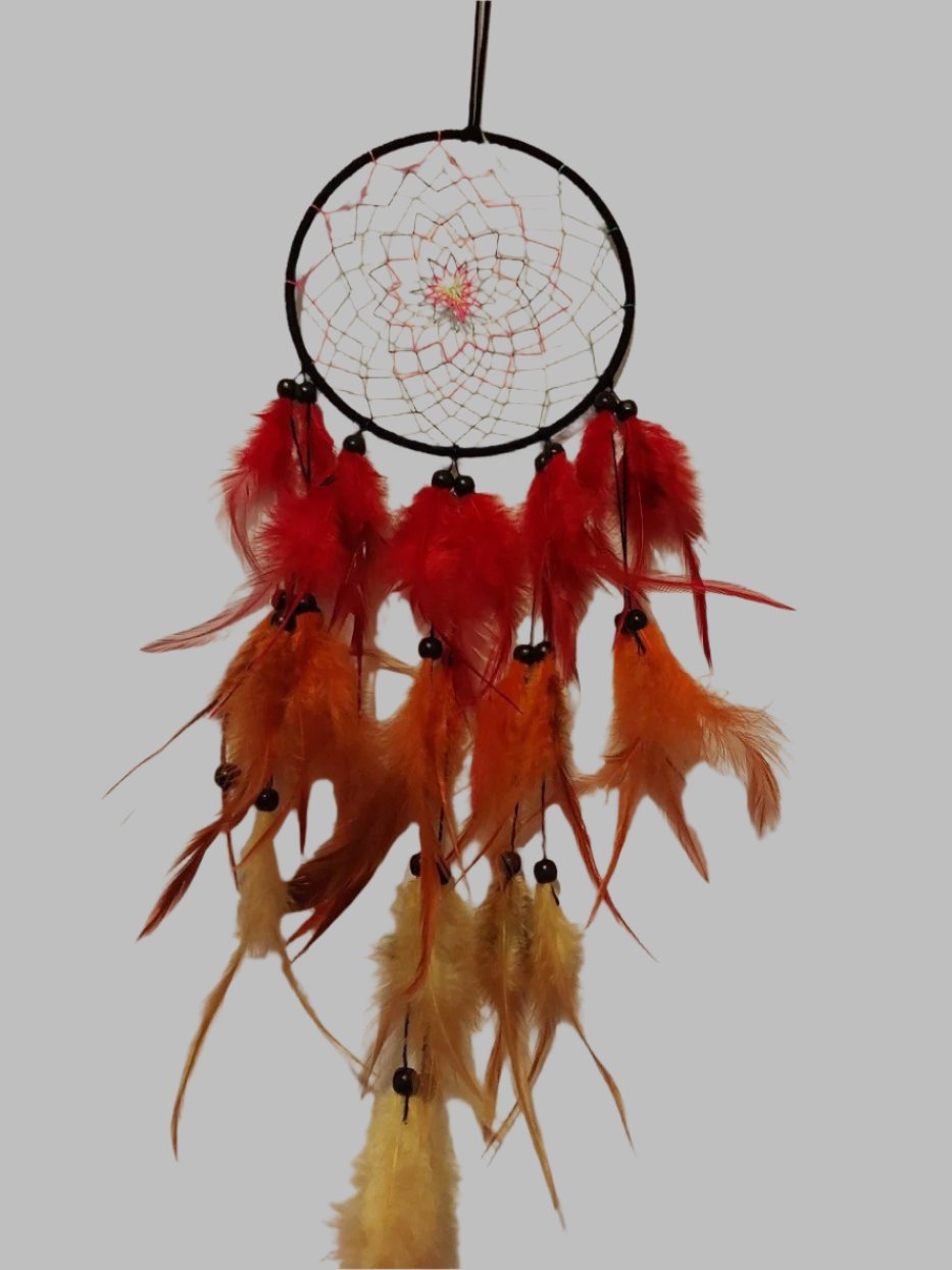 Multi Coloured Dreamcatcher