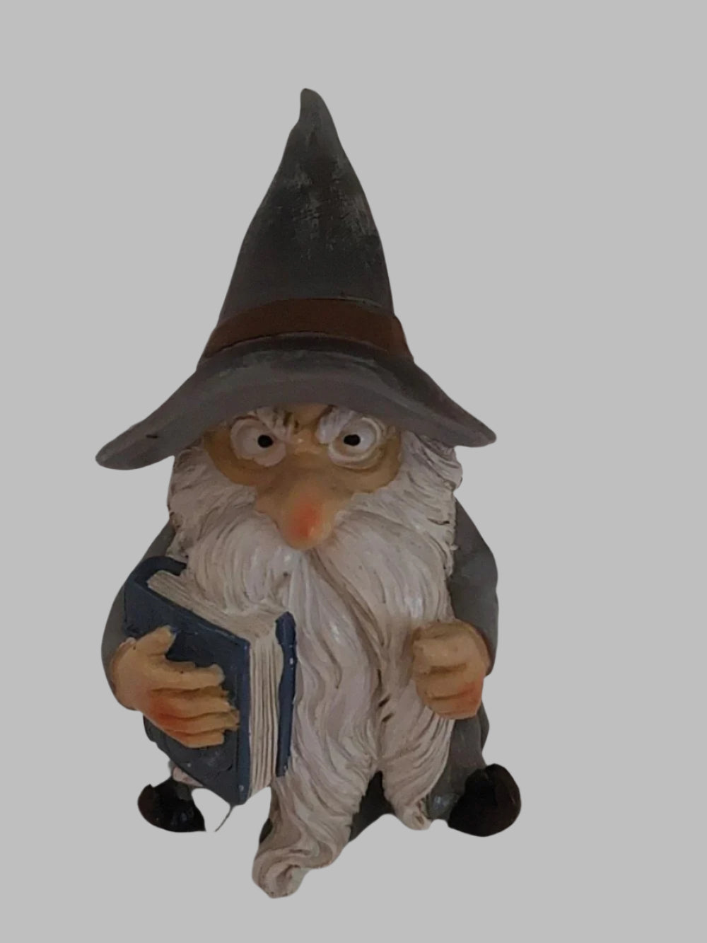 Wizard With Book